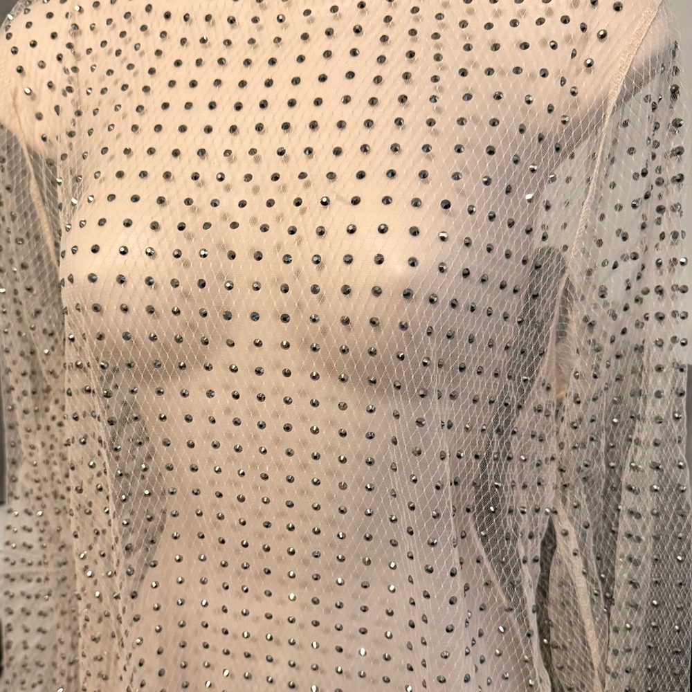 Sheer Rhinestone Embellished Top - Picture 4 of 5
